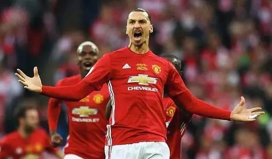 整体水平的 整体水平的